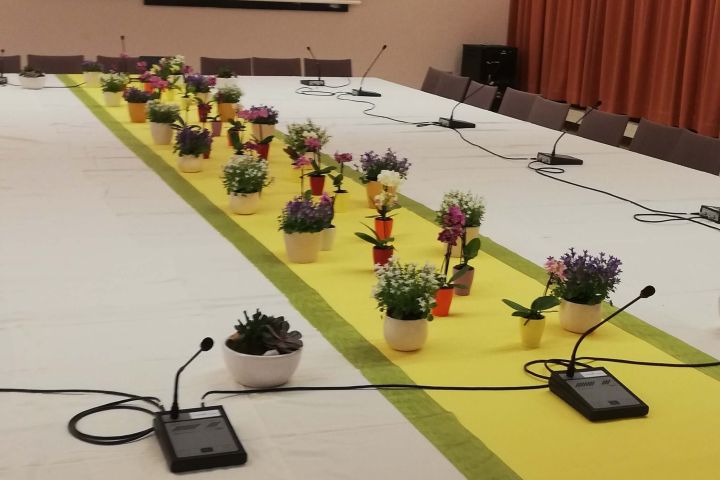 Konferenztisch mit Topfpflanzen